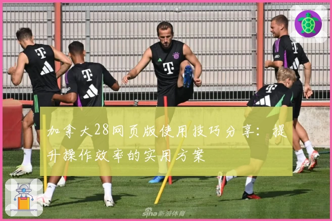 加拿大28网页版使用技巧分享：提升操作效率的实用方案