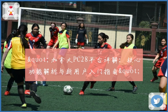 "加拿大PC28平台详解：核心功能解析与新用户入门指南"