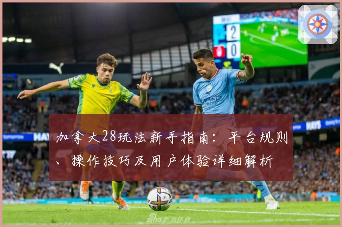 加拿大28玩法新手指南：平台规则、操作技巧及用户体验详细解析