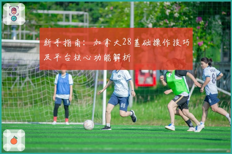 新手指南：加拿大28基础操作技巧及平台核心功能解析