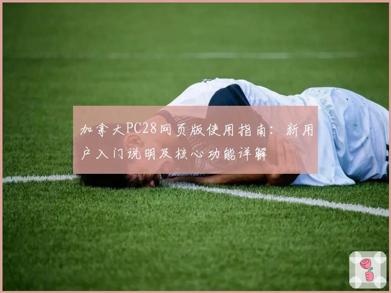 加拿大PC28网页版使用指南：新用户入门说明及核心功能详解