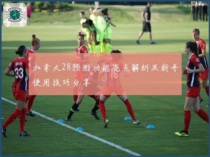 加拿大28预测功能亮点解析及新手使用技巧分享