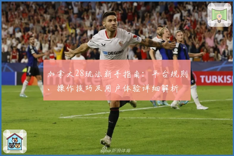 加拿大28玩法新手指南:平台规则、操作技巧及用户体验详细解析