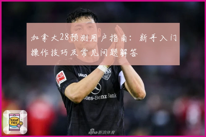 加拿大28预测用户指南：新手入门操作技巧及常见问题解答