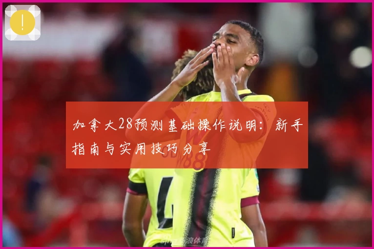 加拿大28预测基础操作说明：新手指南与实用技巧分享