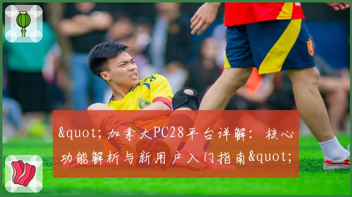 "加拿大PC28平台详解：核心功能解析与新用户入门指南"