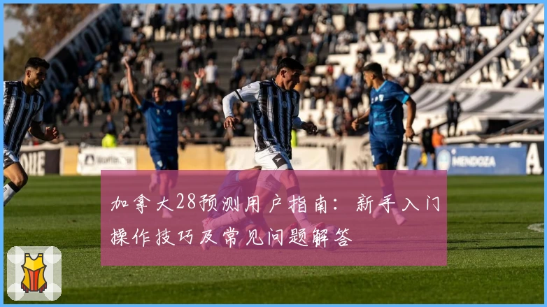 加拿大28预测用户指南：新手入门操作技巧及常见问题解答