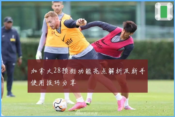 加拿大28预测功能亮点解析及新手使用技巧分享