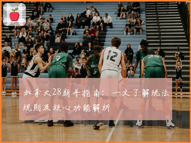 加拿大28新手指南：一文了解玩法规则及核心功能解析