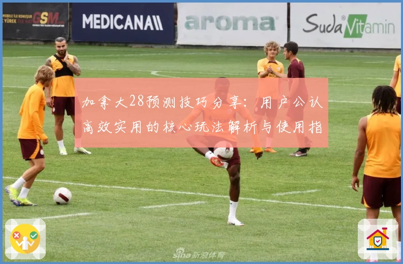 加拿大28预测技巧分享：用户公认高效实用的核心玩法解析与使用指南