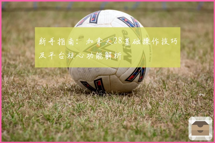 新手指南：加拿大28基础操作技巧及平台核心功能解析