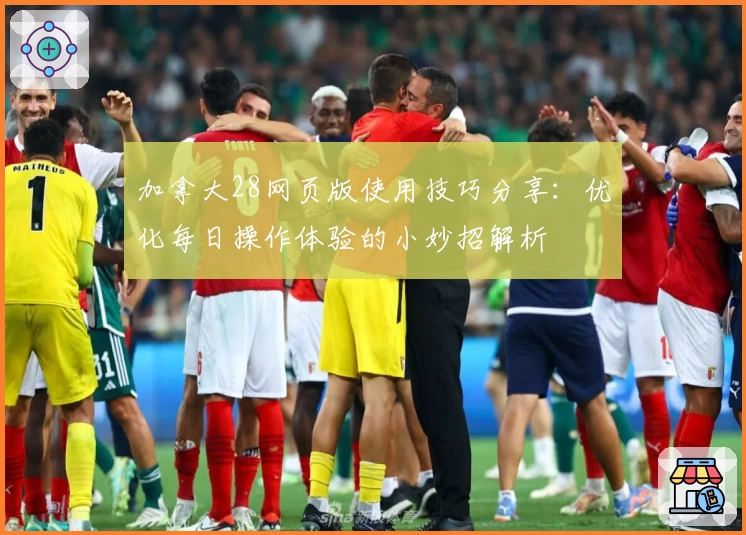 加拿大28网页版使用技巧分享：优化每日操作体验的小妙招解析